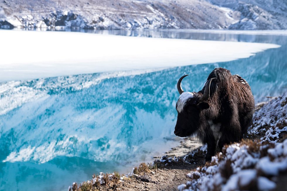 Gokyo Lakes